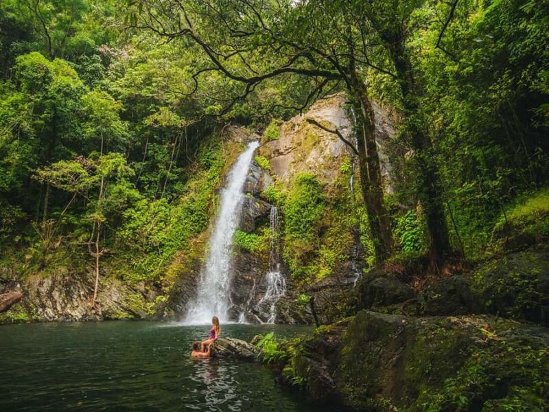 Cassowary Falls Adventure Tour - Daintree Rainforest - The Logistics and Practical Details