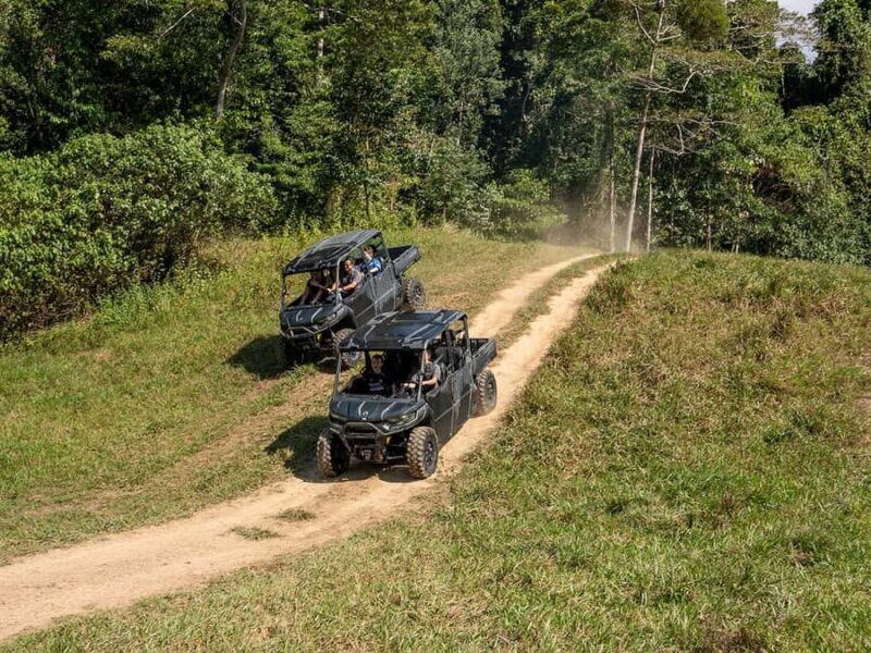 Cassowary Falls Adventure Tour - Daintree Rainforest - The Experience of Guided Ecological Insights