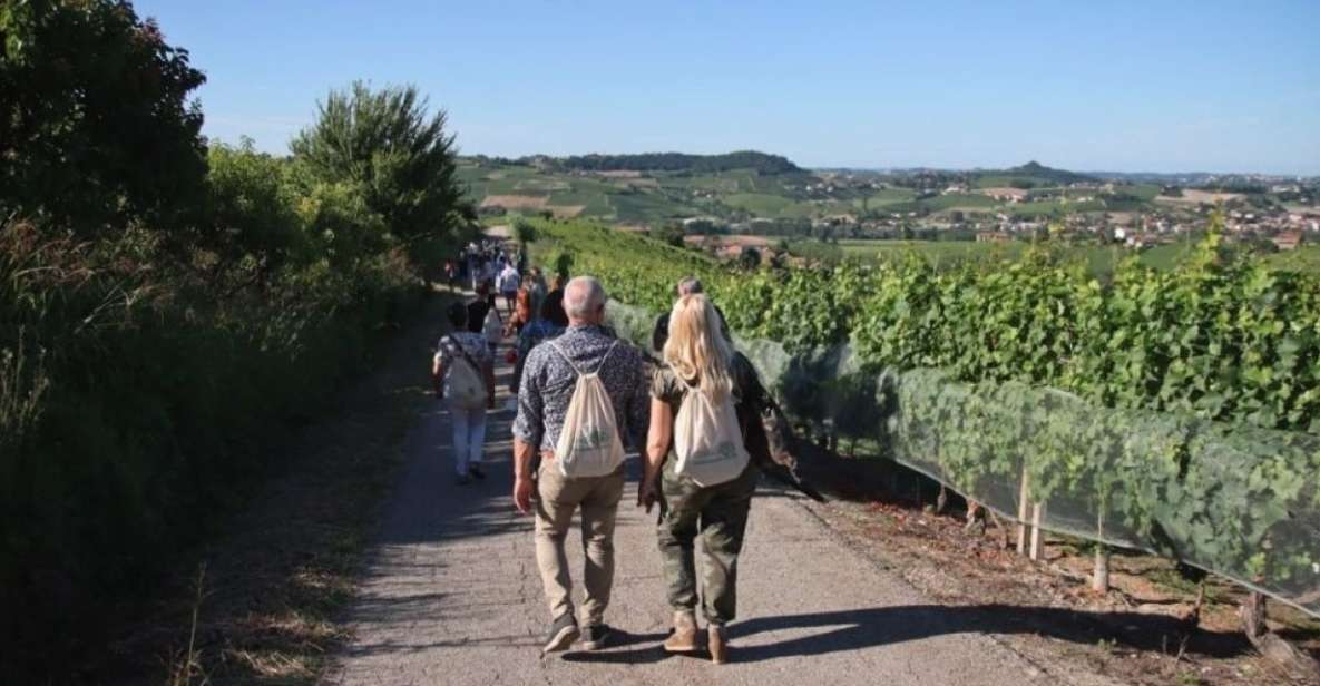 Castagnole Delle Lanze: Saffron Walking Tour W/ Wine & Food - Itinerary Details