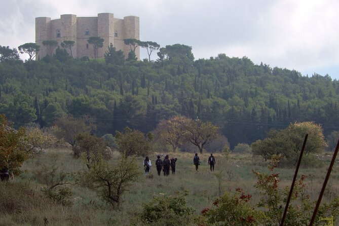 Castel Del Monte: Excursion in the Alta Murgia National Park - Getting There