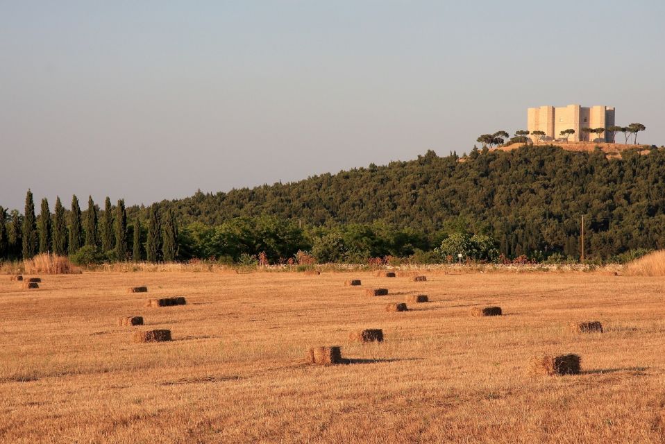 Castel Del Monte Tour With Transfer From Trani - Pricing Information