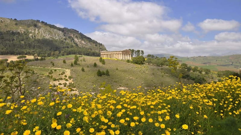 Castellammare del Golfo: E-Bike Tour to Segesta Temple - The Equipment and Accessibility