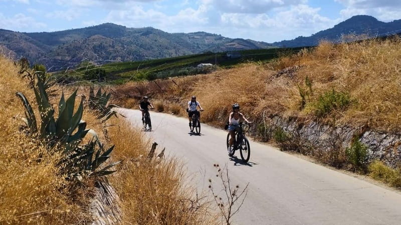 Castellammare del Golfo: E-Bike Tour to Segesta Temple - What Travelers Have Said