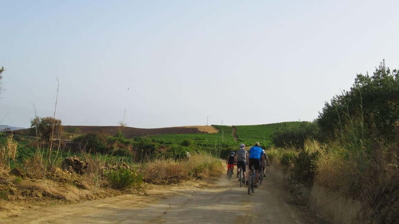 Castellammare del Golfo: E-Bike Tour to Segesta Temple - Who Will Enjoy This Tour?