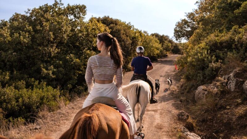 Castelsardo: horseback in Sedini - Key Points