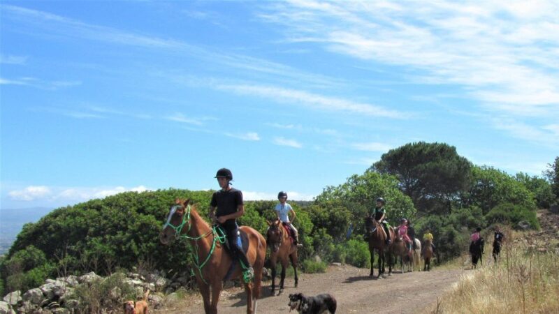 Castelsardo: Horseback Riding for Children in Sedini - Meeting Point and Directions