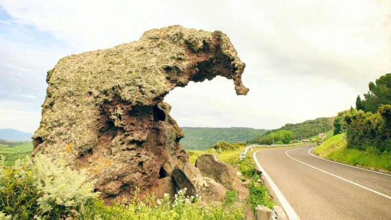 Castelsardo: panoramic ebike tour - Authentic Experiences and Local Insight