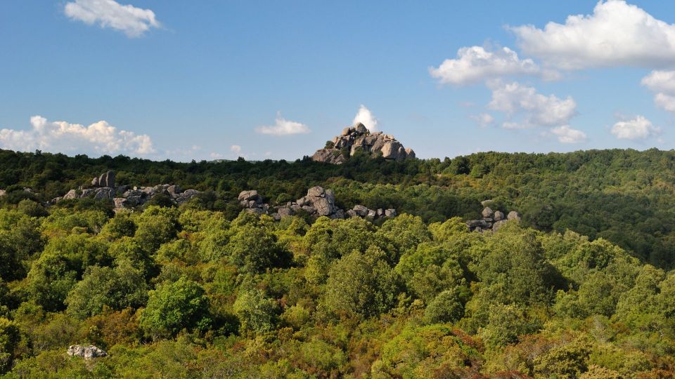 Castiadas: Sardinian Deer Forest Trek - Important Information