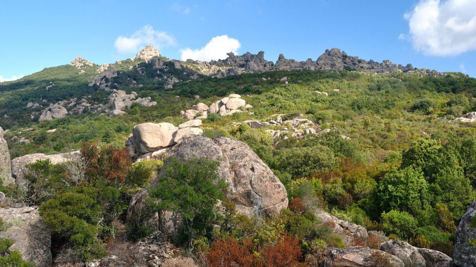 Castiadas: Trekking in the SACQUA Callenti Forest - Ask Away