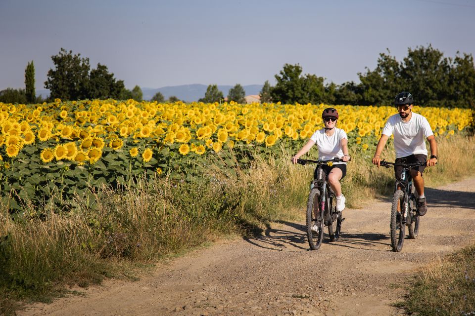 Castiglion Fiorentino: Tuscan Guided E-Bike Tour - Key Points