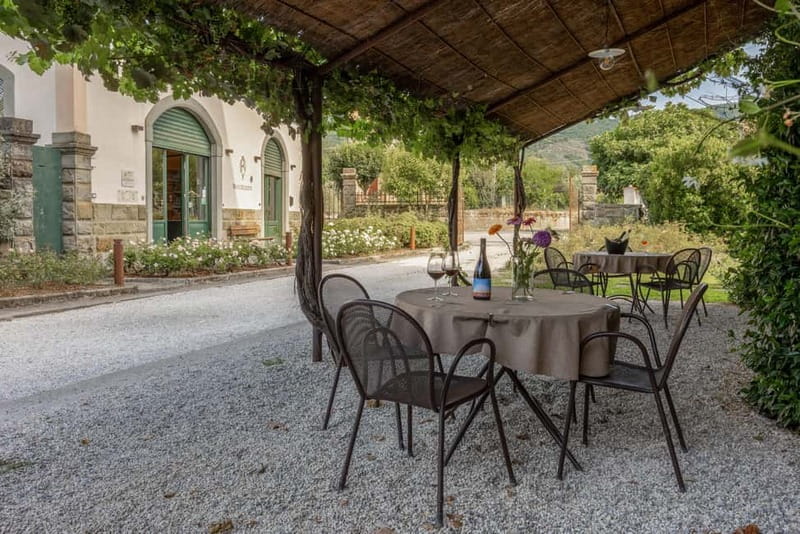 Castiglion Fiorentino: Wine Tasting and Charcuterie Board - An Authentic Taste of Tuscany in a Compact Package