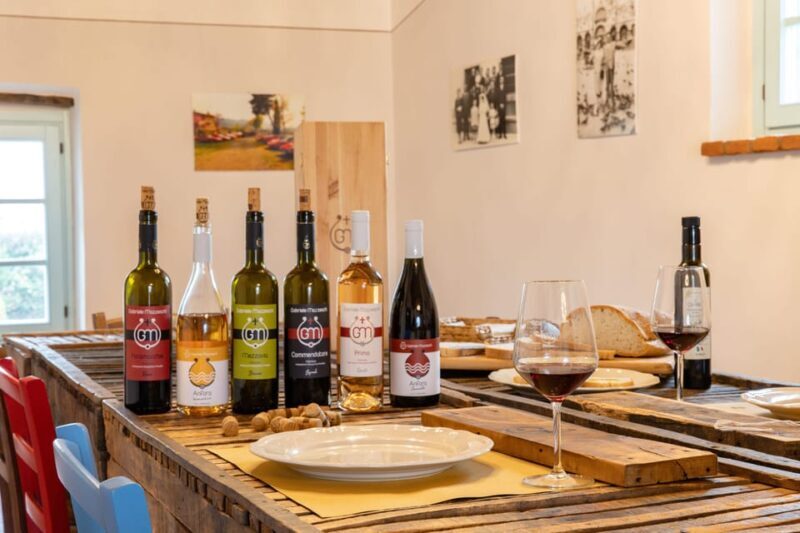 Castiglion Fiorentino: Wine Tasting With Guided Tour - Activity Overview