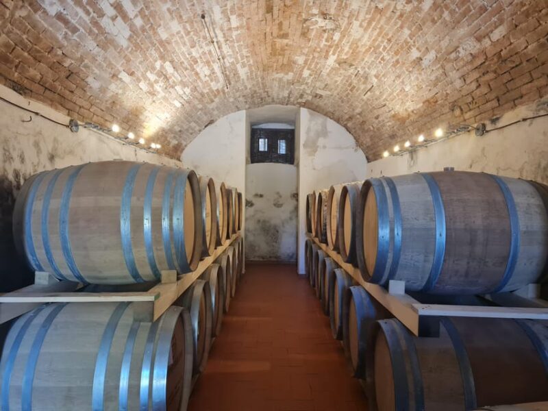 Castiglion Fiorentino: Wine Tasting With Guided Tour - Customer Reviews