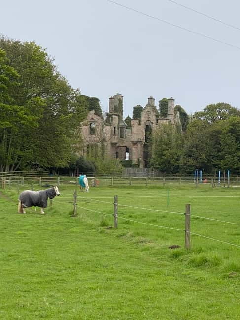 Castle and Coastline Electric Bike Tour North Berwick - Final Thoughts: Is This Tour for You?