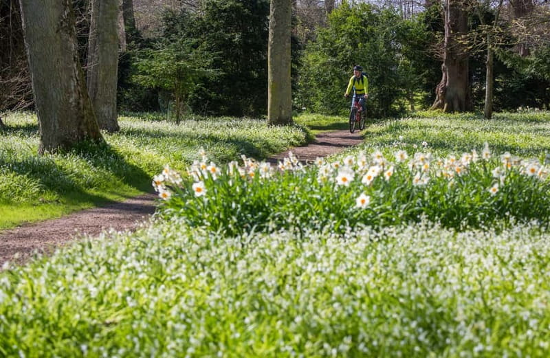 Castle, Gardens & Grounds Ticket - Dining and Shopping: Tastes of the Estate