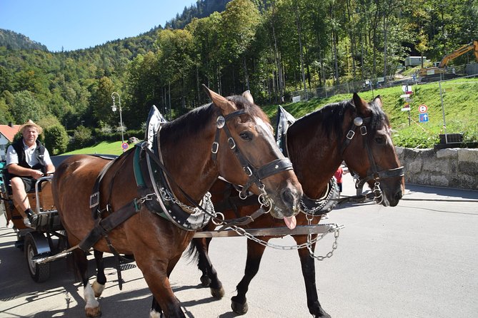 Castle Neuschwanstein Day Trip Review - Since You Asked
