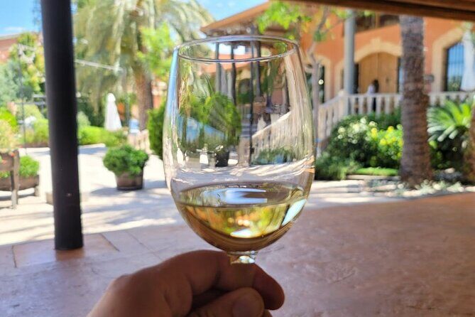 Castle Tour in Province of Alicante and Wine Tasting - Who Is This Tour Best For?