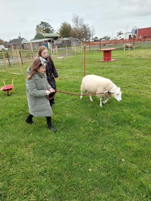 Castlegadddery: Murtagh's Organic Farm Guided Tour - What Is Murtagh’s Organic Farm Guided Tour?
