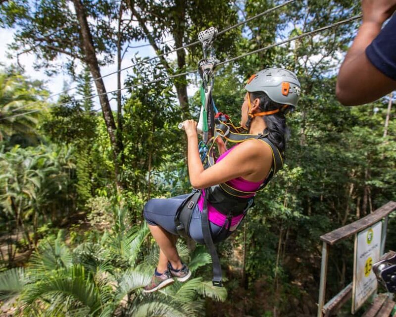 Castries, St. Lucia - Adrenaline Zipline - The Sum Up