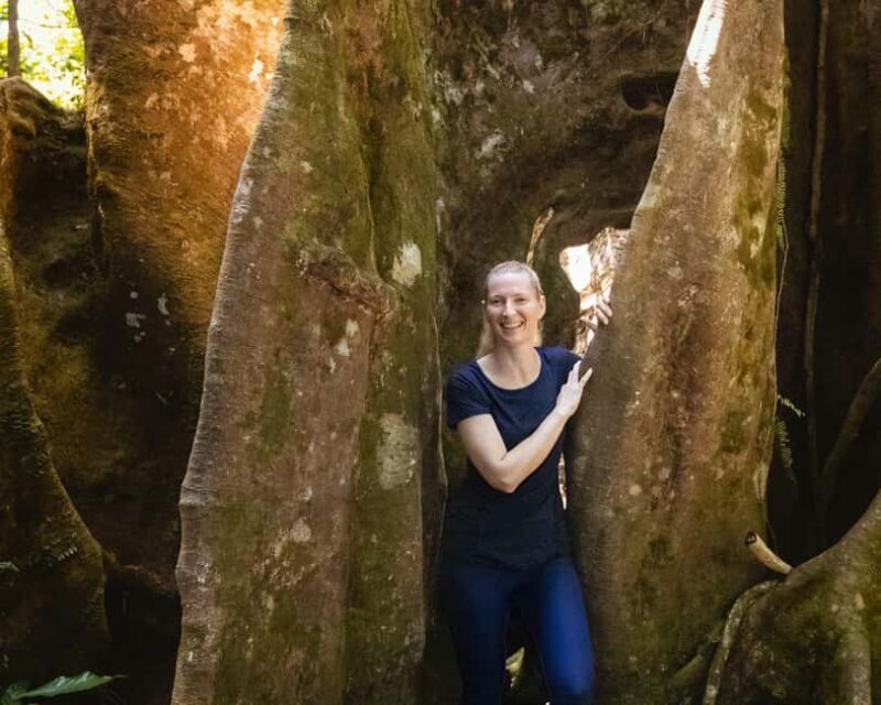 Castries St Lucia: Guided Rainforest Hike  Jacquot Trail - Key Points