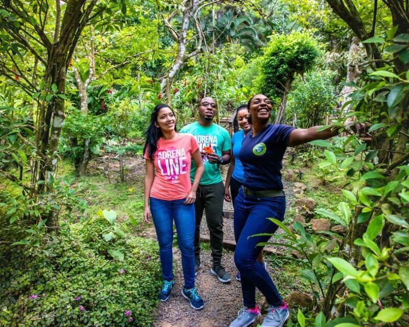 Castries St Lucia: Guided Rainforest Hike  Jacquot Trail - A Closer Look at the Jacquot Trail Experience