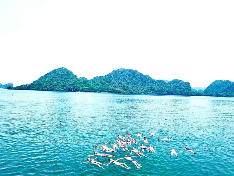 Cat Ba Island: 1 Day Kayaking, Swimming, Cycling, Snorkeling, Lunch - Tour Overview and Pricing