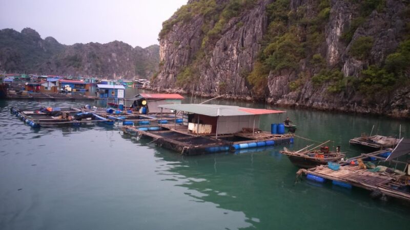 Cat Ba Island: Full-Day Cruise to Lan Ha Bay and Ha Long Bay - Itinerary Highlights
