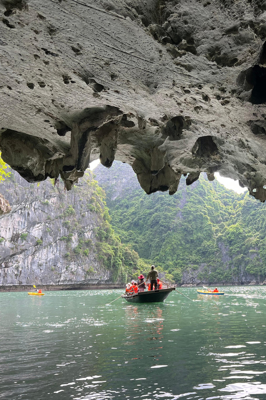 Cat Ba Island: Lan Ha Bay Bioluminescence Plankton Kayaking - Key Points