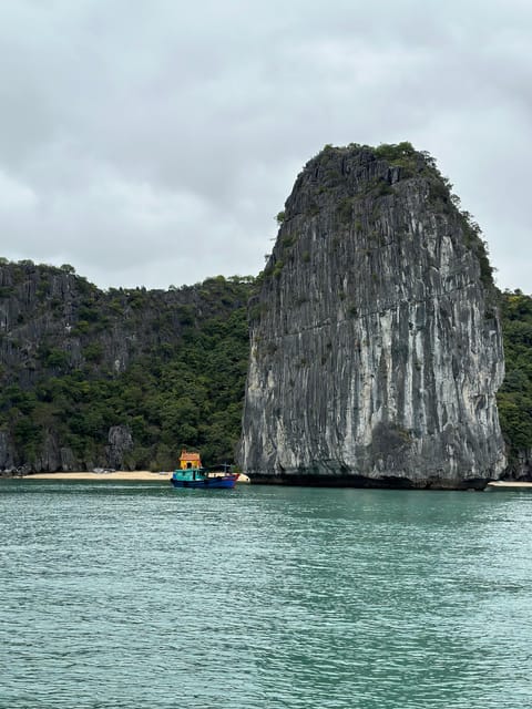 Cat Ba Island: Lan Ha Bay Bioluminescence Plankton Kayaking - Witnessing the Bioluminescent Plankton