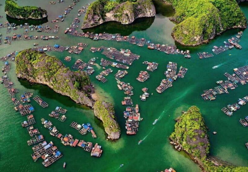 Cat Ba Island-Lan Ha Bay Day Trip: Kayaking, Swimming,Biking - Included Activities and Amenities