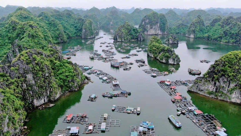 Cat Ba: Lan Ha Bay Halfday Cruise With Kayaking - Activity Overview