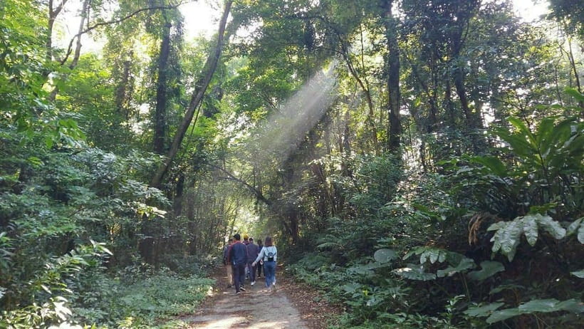 Cat Ba: National Park Day Trip With Cycling and Kayaking - Cultural Immersion