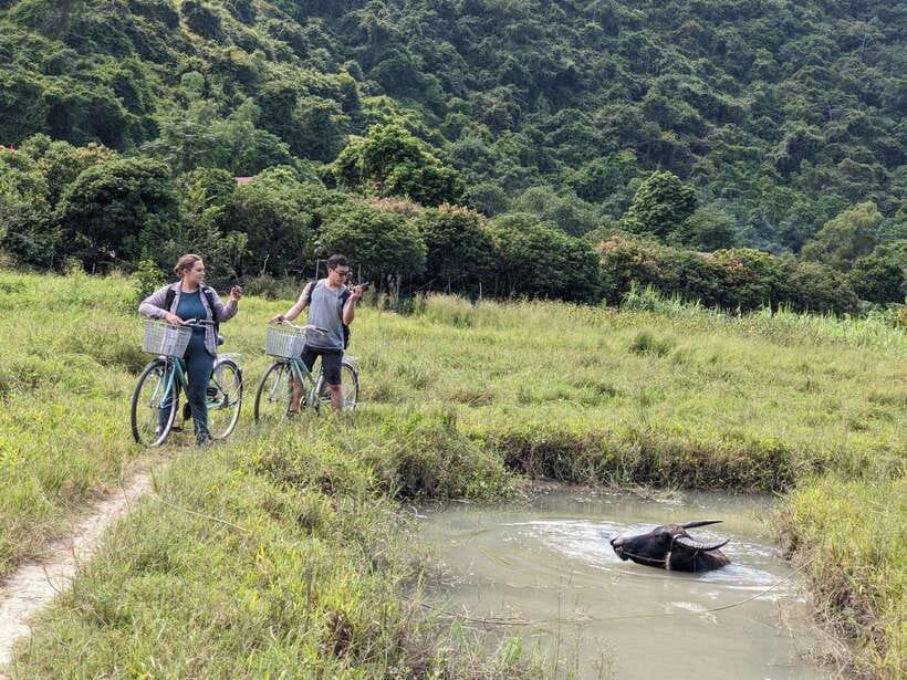 Cat Ba National Park Trekking & Ancient Village Biking - Tour Overview and Pricing