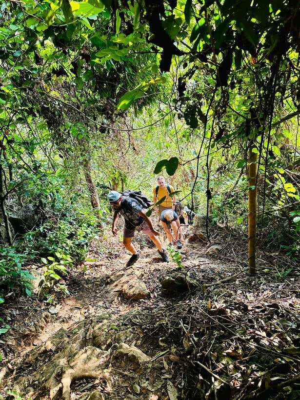 Cat Ba National Park Trekking & Ancient Village Biking - Detailed Itinerary
