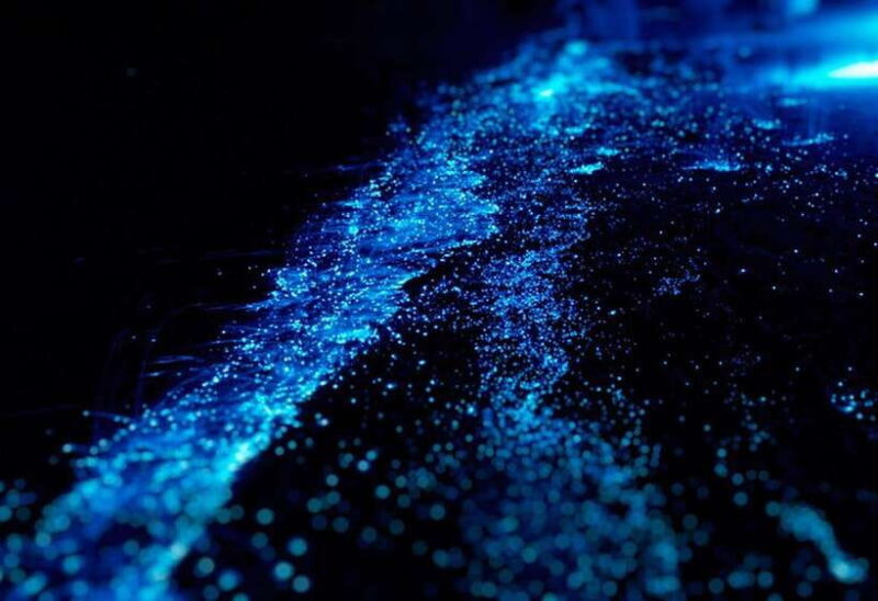 Cat Ba: Sunset & Bioluminescent Kayaking on Lan Ha Bay - Itinerary Highlights