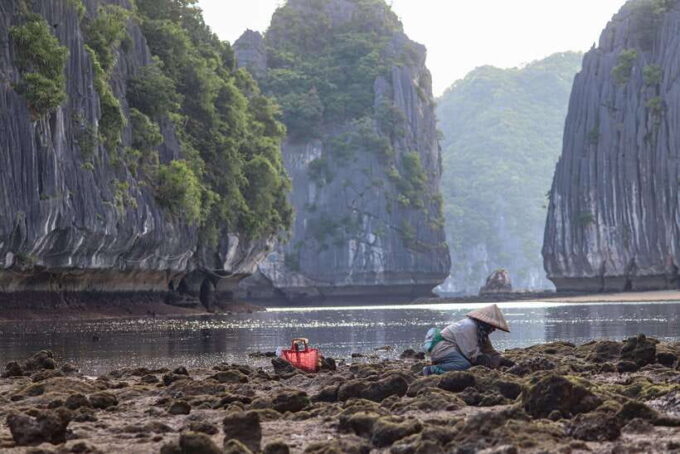 Cat Ba: Sunset & Bioluminescent Kayaking on Lan Ha Bay - Booking and Cancellation Policy