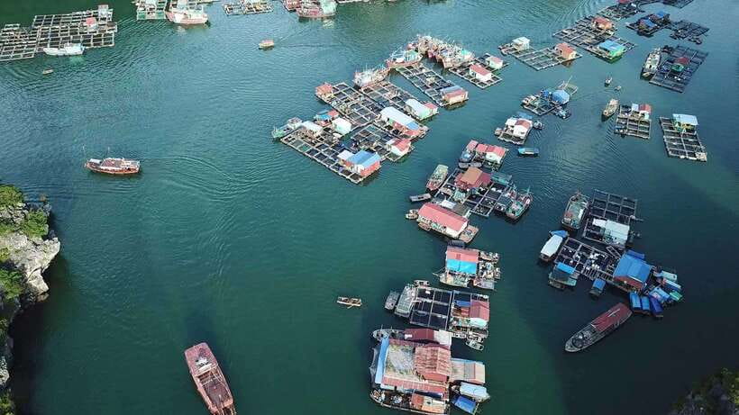 Cat Ba: Sunset on Lan Ha Bay With Kayak & Sunset Party - Kayaking and Swimming