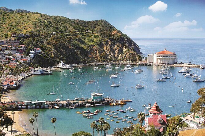 Catalina Express: Avalon to San Pedro One-Way Ferry - Who Should Consider This Ferry?