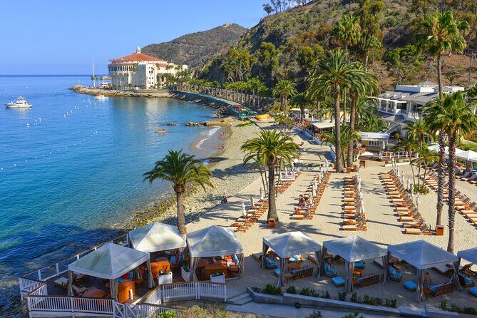 Catalina Express: Avalon to San Pedro One-Way Ferry - Frequently Asked Questions