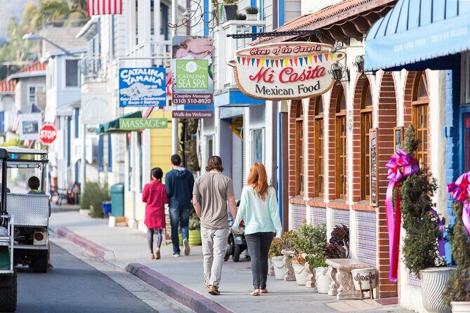 Catalina Express Long Beach to Avalon One Way Ferry - Who Should Consider This Tour?