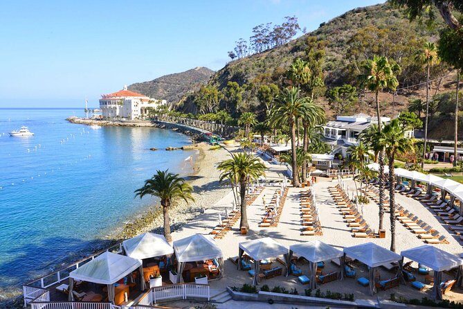 Catalina Express: San Pedro to Avalon One-Way Ferry - Who Should Consider This Ferry?