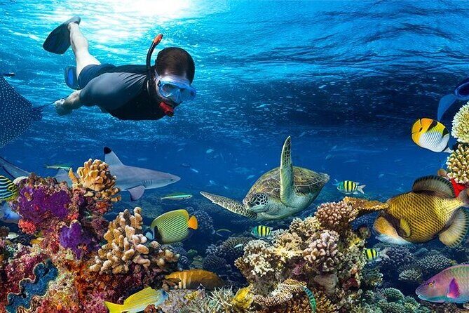 Catalina Island All Inclusive from Punta Cana (Full Day) - Final Thoughts