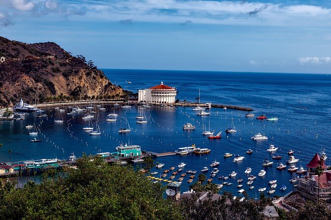 Catalina Island All Inclusive Sightseeing Tour Review - Tour Overview