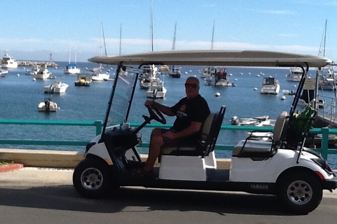 Catalina Island All Inclusive Sightseeing Tour Review - Accessibility Details