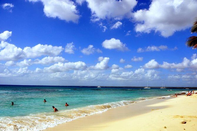 Catalina Island and Snorkeling - Full-day Trip - What the Reviews Say