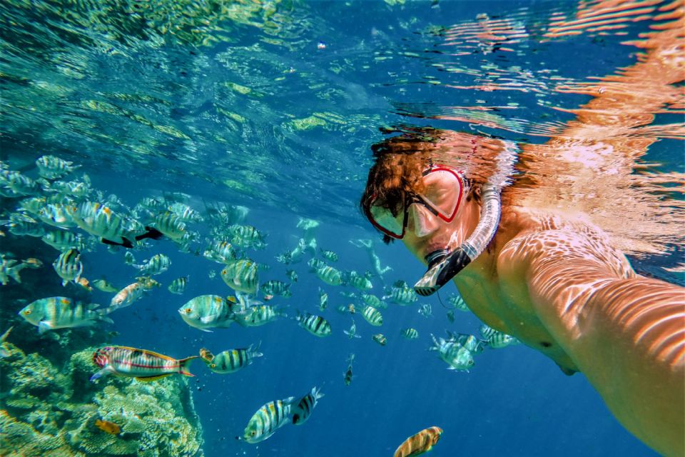 Catalina Island and Snorkeling Tour - Flexibility and Booking