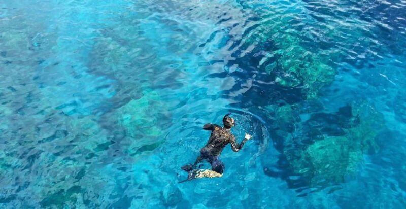 Catalina Island Catamaran Cruise with Lunch from Bayahibe - Key Points