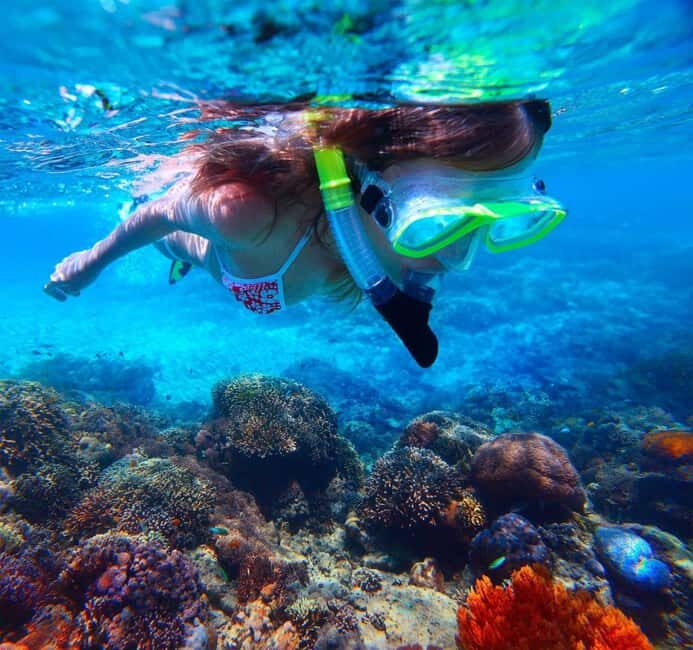 Catalina Island Catamaran Cruise with Lunch from Bayahibe - A Detailed Look at the Experience