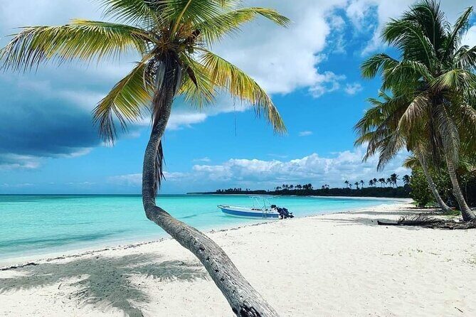 Catalina Island Catamaran Tour from Punta Cana - The Itinerary: What Can You Expect?