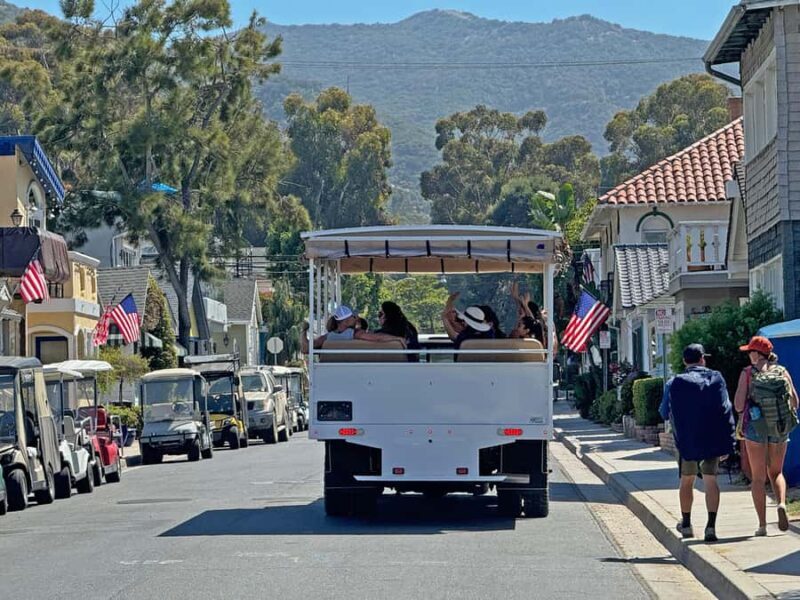 Catalina Island City & Scenic Mt. Ada Tour - Exploring the Tour Itself